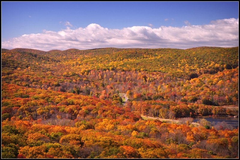DSC_3464_1.jpg