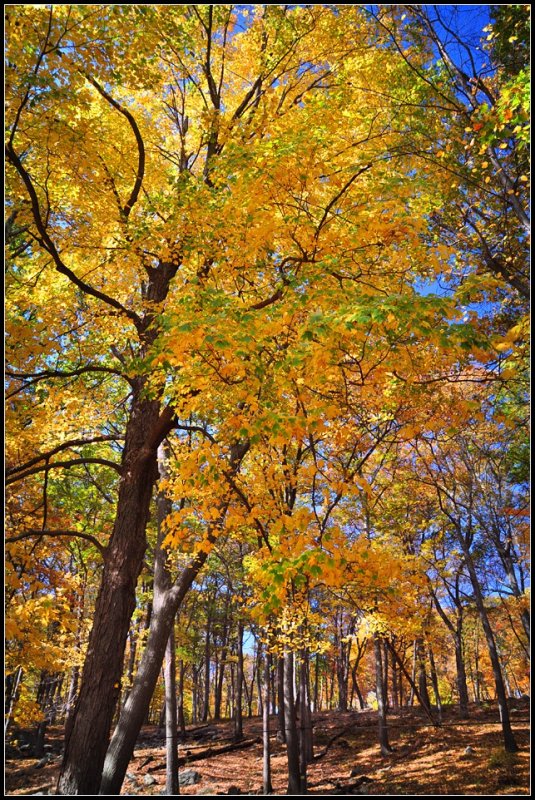 DSC_3581_1.jpg