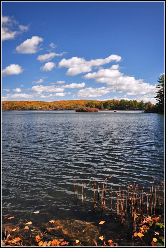 DSC_3620_1.jpg