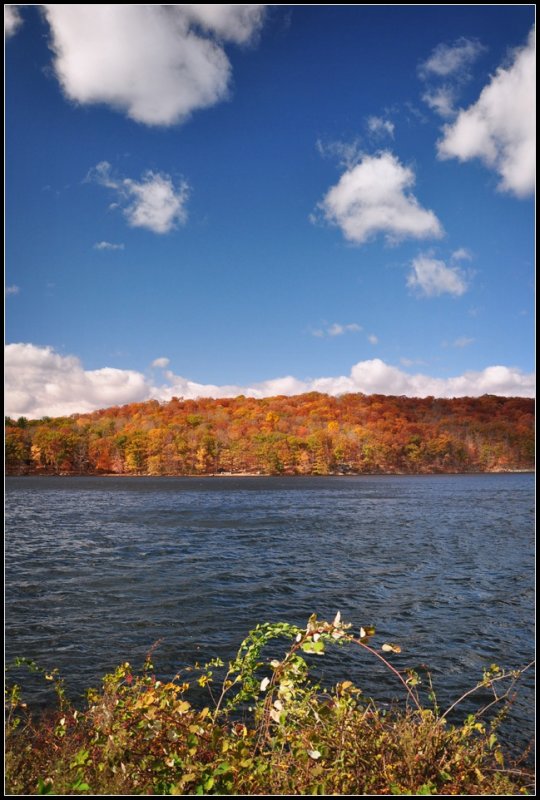 DSC_3683_1.jpg