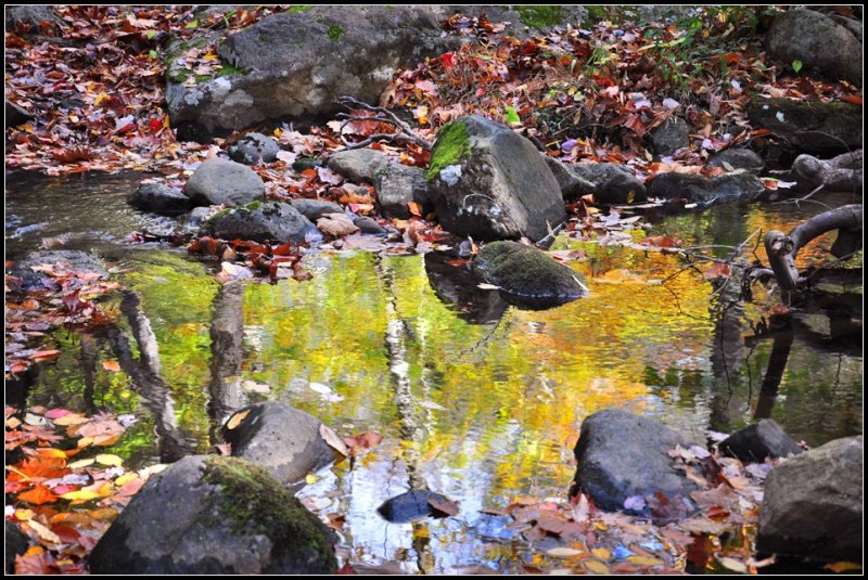 DSC_3702_1.jpg