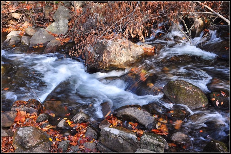DSC_3706_1.jpg