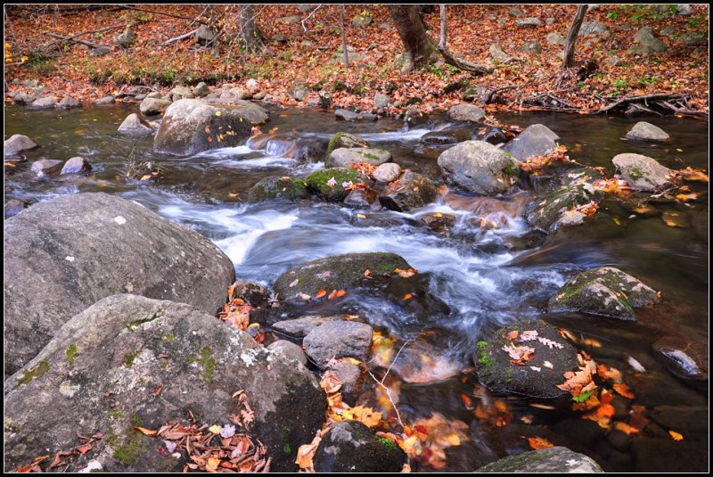DSC_3750_1.jpg