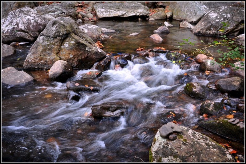 DSC_3772_1.jpg