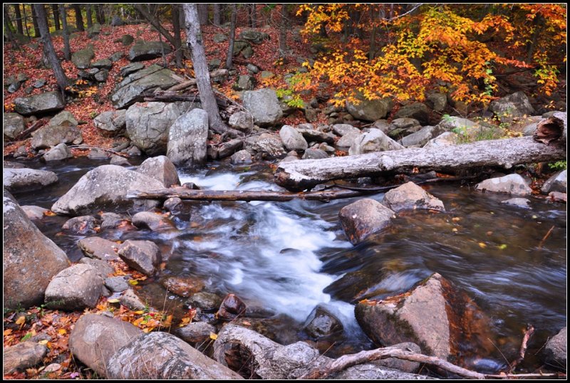 DSC_3777_1.jpg
