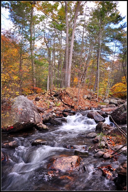 DSC_3781_1.jpg