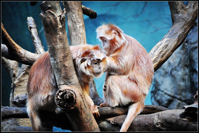 DSC_4481_1.jpg