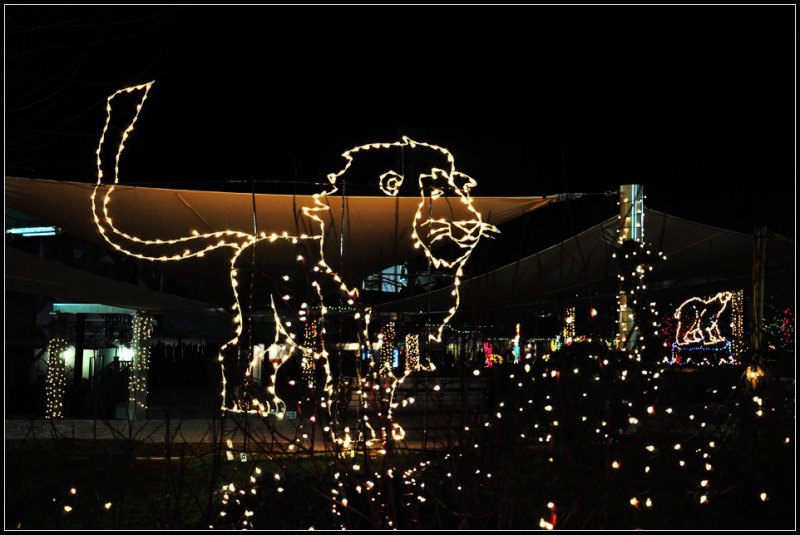DSC_5706_1.jpg