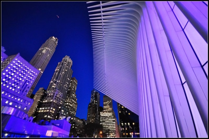 DSC_5474_1.jpg