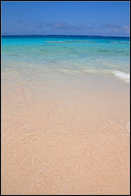 DSC_4996_1.jpg