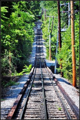 DSC_1061_1.jpg