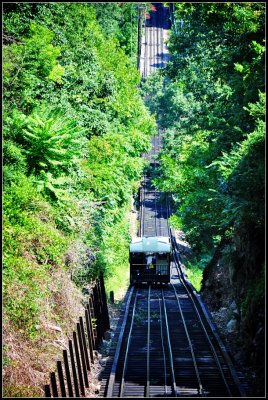 DSC_1124_1.jpg