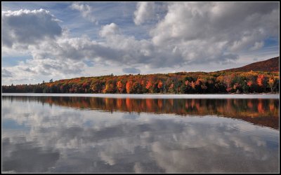 DSC_3139_1.jpg