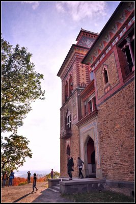 DSC_3153_1.jpg