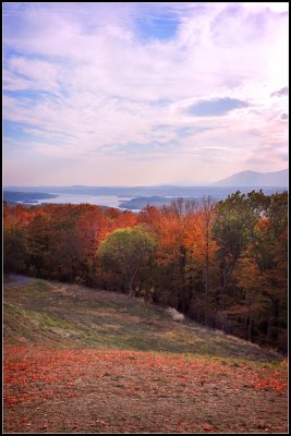 DSC_3170_1.jpg