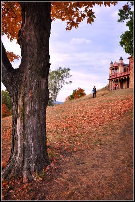 DSC_3194_1.jpg