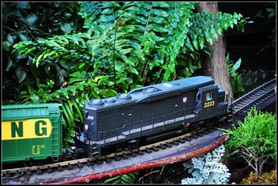 DSC_5925_1.jpg