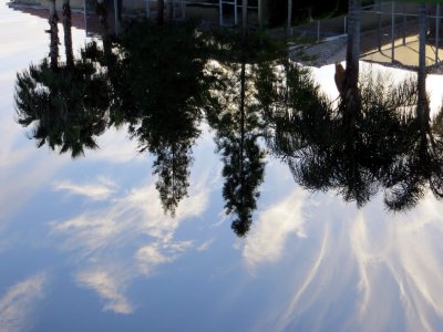 A perfect Reflection
