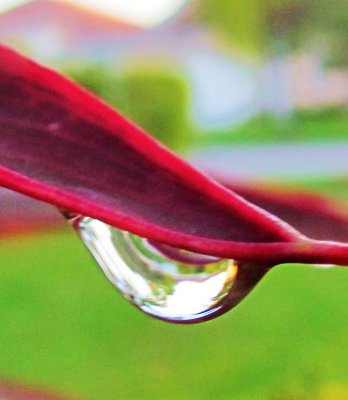 A Raindrop