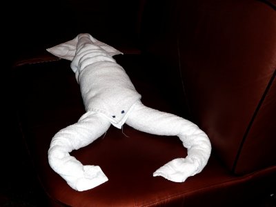 Art of towel 015.jpg