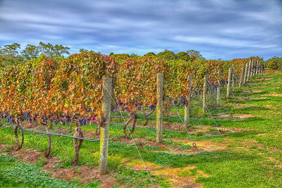 _MG_75903_4_5_tonemapped.jpg