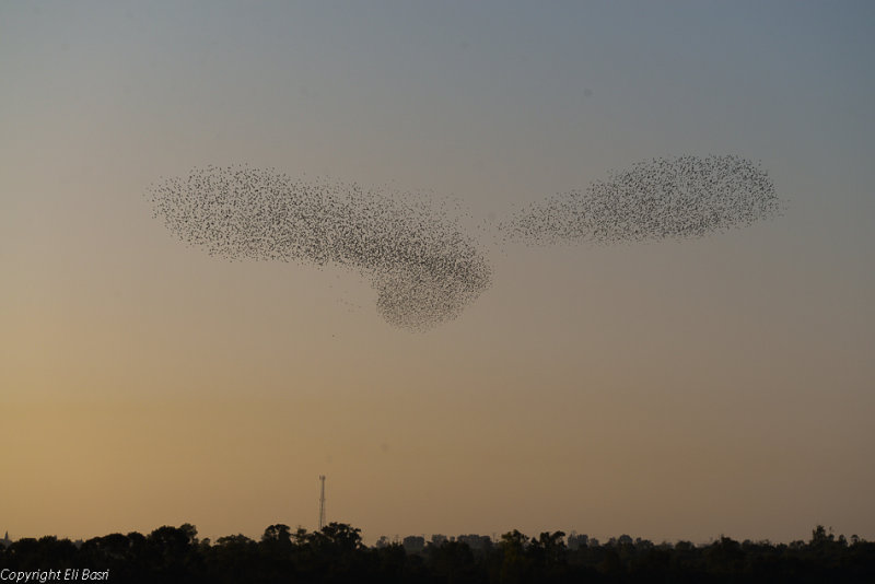 DSC_4478.jpg