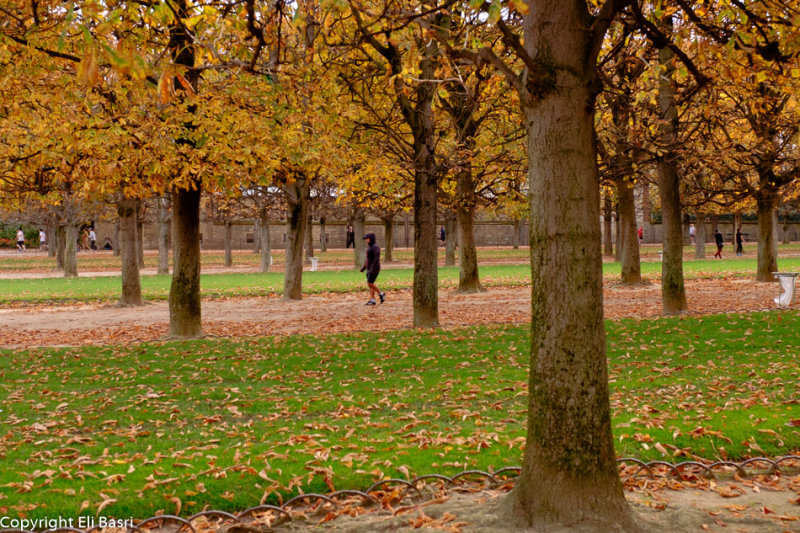 DSCF4036.jpg