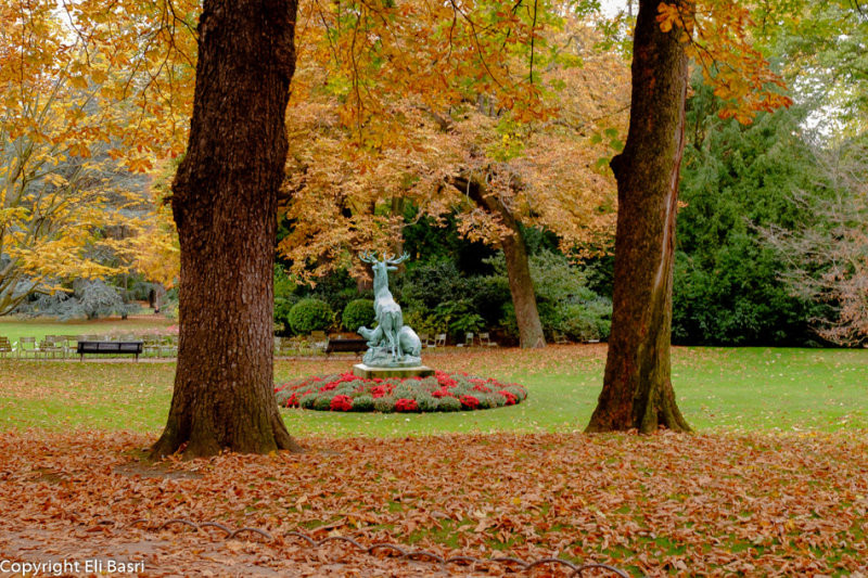DSCF4052.jpg