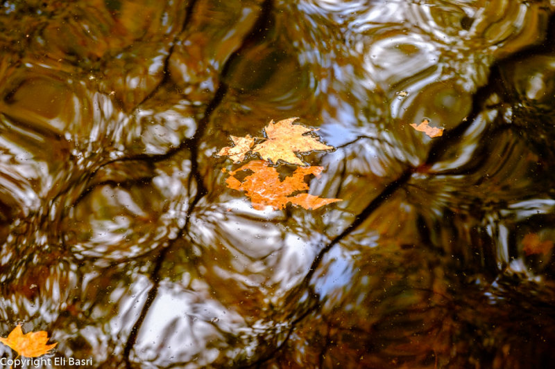 DSCF4108.jpg
