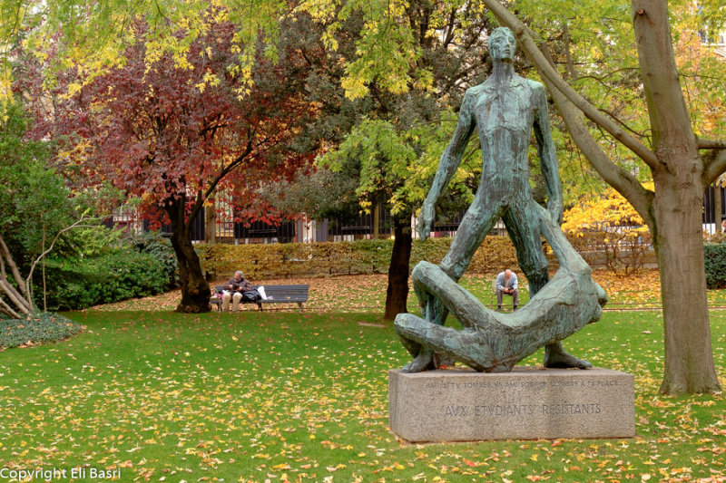 DSCF4125.jpg