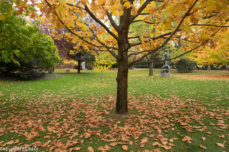 DSCF4134.jpg