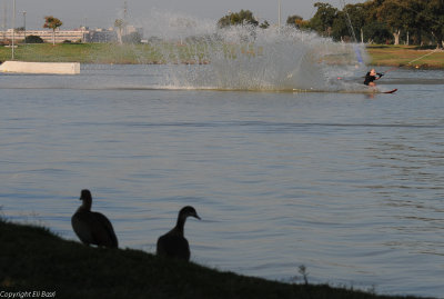 DSC_6584.JPG