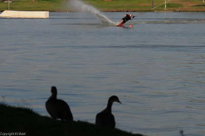 DSC_6581.JPG