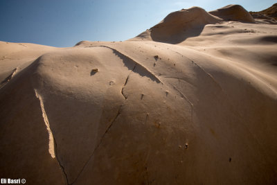 DSC_2867.jpg