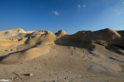 DSC_3156.jpg