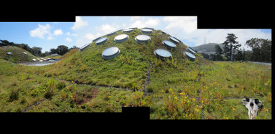 the living roof
