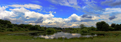 Pond Panorama