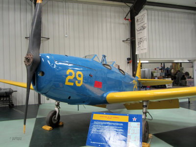 PT-19
