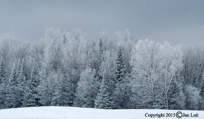 Winter 001