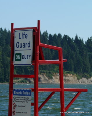 The Invisible Life Guard