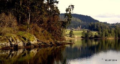 Maple Bay