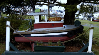 Maple Bay