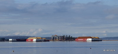 Crofton Beach