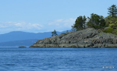 mistaken_island