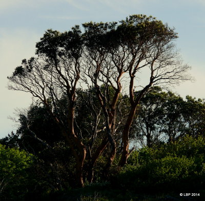 P1060003.JPG