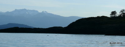 P1060006.JPG