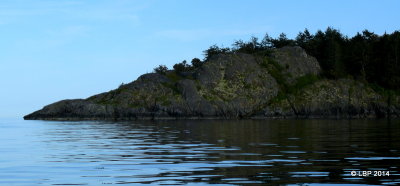 P1060032.JPG
