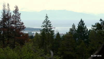 extension_ridge_abyss