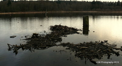 P1250264-001.JPG