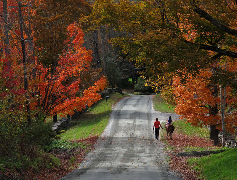 Backroads of Vermont